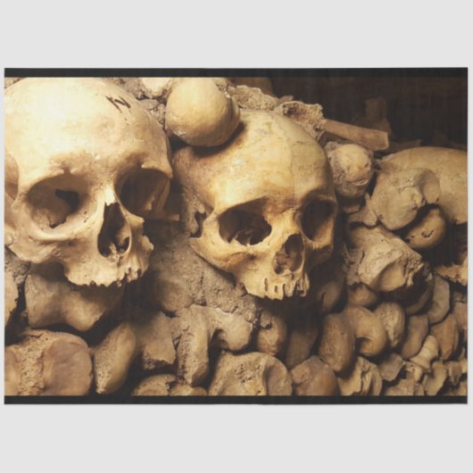 カタコムスカル17デクページティッシュペーパー 薄葉紙 (正面)