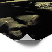 カタコンボ骨 ポスター (角)