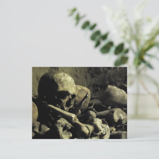 カタコンボ骨 ポストカード (スタンド正面)