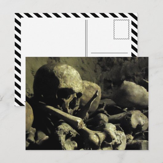 カタコンボ骨 ポストカード (正面/裏面)