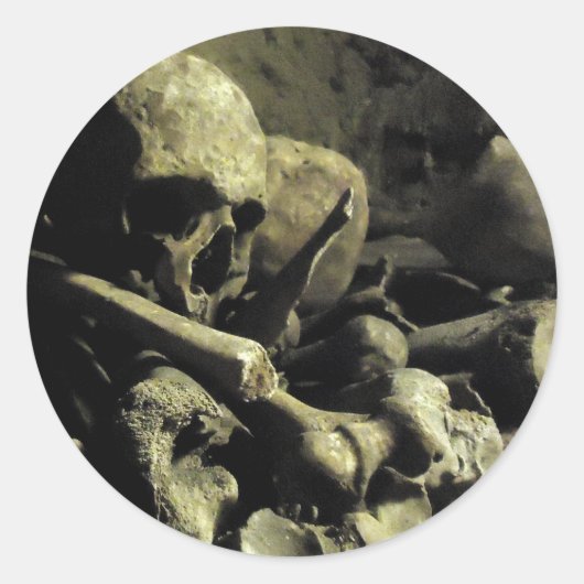 カタコンボ骨 ラウンドシール (正面)