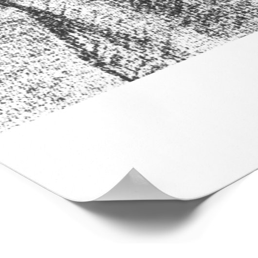 カタサブランカ ポスター (角)