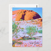カタジュタザオルガスセントラルオーストラリア ポストカード (正面/裏面)