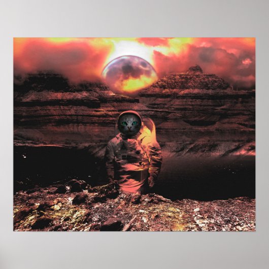 カタストロナウ ポスター (正面)