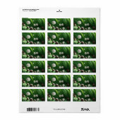 カタツムリが緑の植物の上に並んだ ラベル (フルシート)