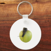 カタツムリとリンゴ キーホルダー (正面)
