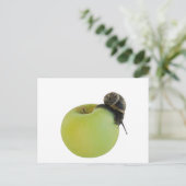 カタツムリとリンゴ ポストカード (スタンド正面)