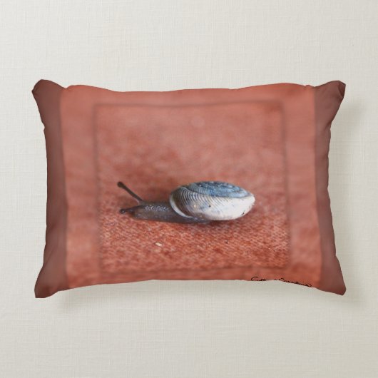 カタツムリのテラコッタのマクロ写真 アクセントクッション (正面)