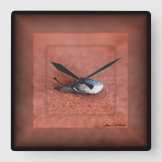 カタツムリのテラコッタのマクロ写真 スクエア壁時計