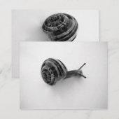 カタツムリのポストカード 招待状 (正面/裏面)