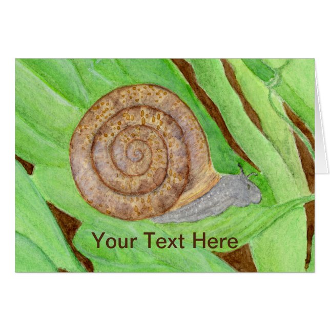 カタツムリの水彩 (正面横)