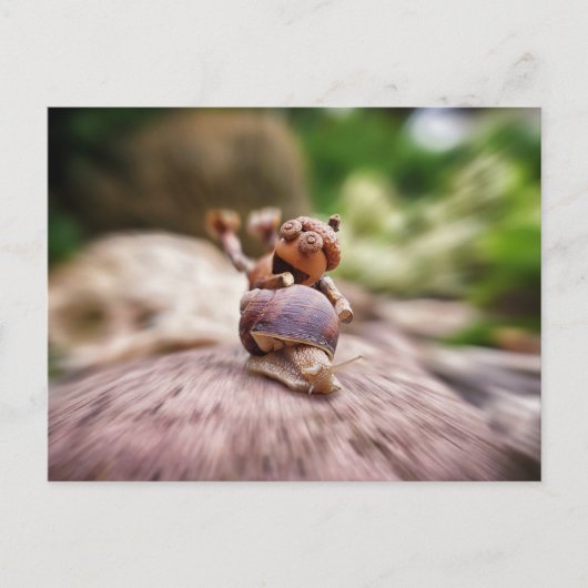 カタツムリの葉書に乗るアコーン小妖精や小人 ポストカード (正面)