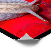 カタツムリの複数写真 ポスター (角)