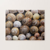 カタツムリの貝殻がたくさん ジグソーパズル (横)