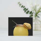 カタツムリはがき ポストカード (スタンド正面)