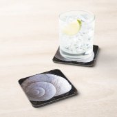 カタツムリカッコいい貝 コースター (右側)