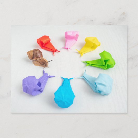 カタツムリカラフルはがき ポストカード (正面)