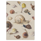 カタツムリガーデンペット腹足類スラグ植物カタツムリ クリップボード (裏面)