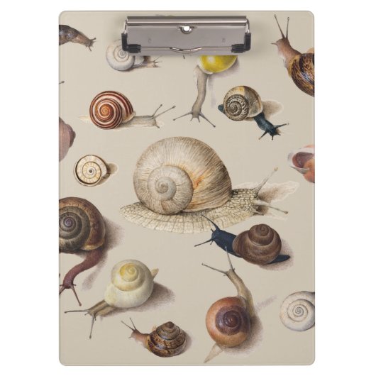 カタツムリガーデンペット腹足類スラグ植物カタツムリ クリップボード (正面)