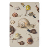 カタツムリガーデンペット腹足類スラグ植物カタツムリ ミニクリップボード (裏面)