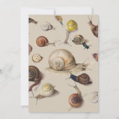 カタツムリガーデンペット腹足類スラグ植物カタツムリ 招待状 (裏面)