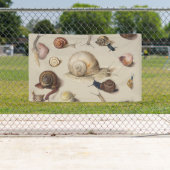 カタツムリガーデンペット腹足類スラグ植物カタツムリ 横断幕 (インサイチュ)