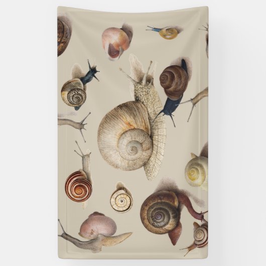 カタツムリガーデンペット腹足類スラグ植物カタツムリ 横断幕 (縦)