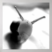 カタツムリキス ポスター (正面)