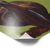 カタツムリスケッチコダックプロフェッショナルフォト紙 フォトプリント            (角)