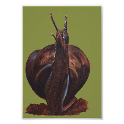 カタツムリスケッチコダックプロフェッショナルフォト紙 フォトプリント            (正面)