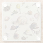 カタツムリナグガーデンペット腹足植物カタツムリ ガラスコースター (裏面)