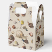 カタツムリナグガーデンペット腹足植物カタツムリ フェイバーボックス (オープン)