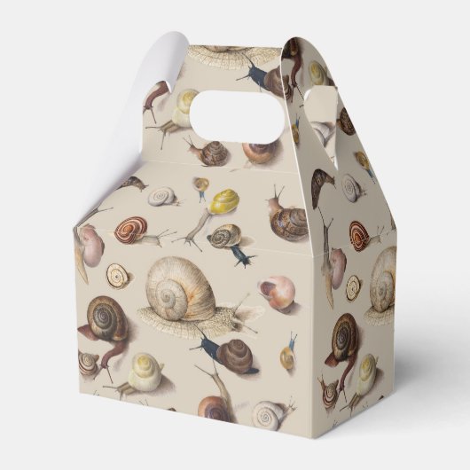 カタツムリナグガーデンペット腹足植物カタツムリ フェイバーボックス (正面サイド)