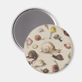 カタツムリナグガーデンペット腹足植物カタツムリ マグネット (正面/裏面)