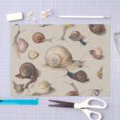 カタツムリナグガーデンペット腹足植物カタツムリ 薄葉紙 (クラフト)