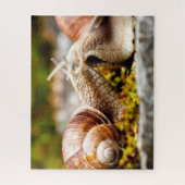 カタツムリ対ジグソーパズル ジグソーパズル (縦)