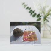 カタツムリ得郵便だ ポストカード (スタンド正面)