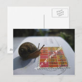 カタツムリ得郵便だ ポストカード (正面/裏面)