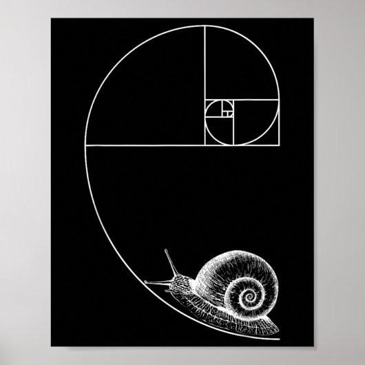 カタツムリ数学フィボナッチ数学先生Geom ポスター (正面)