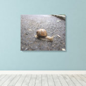 カタツムリ歩行 キャンバスプリント (インサイチュ (ウッドフロア))