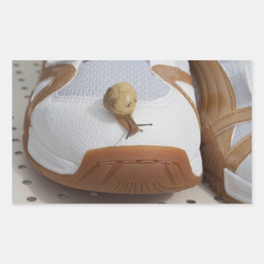 カタツムリ競走の準備ができている 長方形シール (正面)