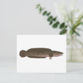 カタツムリ素晴らしフ ポストカード (スタンド正面)