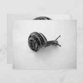 カタツムリ葉書 招待状 (正面/裏面)