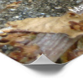 カタツムリ走と乗る ポスター (角)