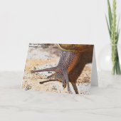 カタツムリ郵便の遅れて誕生日 カード (裏面)