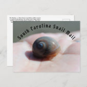 カタツムリ郵便葉書 ポストカード (正面/裏面)