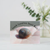 カタツムリ郵便葉書 ポストカード (スタンド正面)