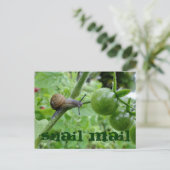 カタツムリ郵便葉書 ポストカード (スタンド正面)