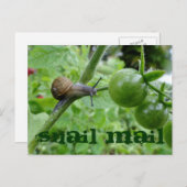 カタツムリ郵便葉書 ポストカード (正面/裏面)