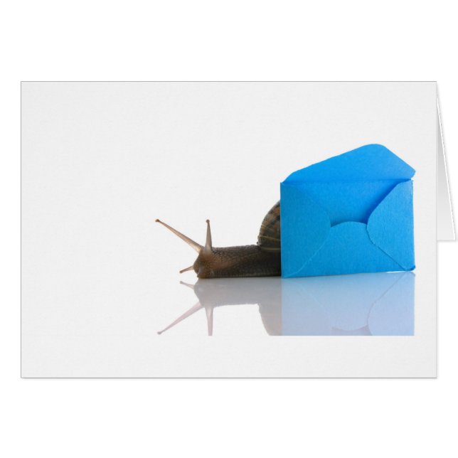 カタツムリ郵便 (正面横)